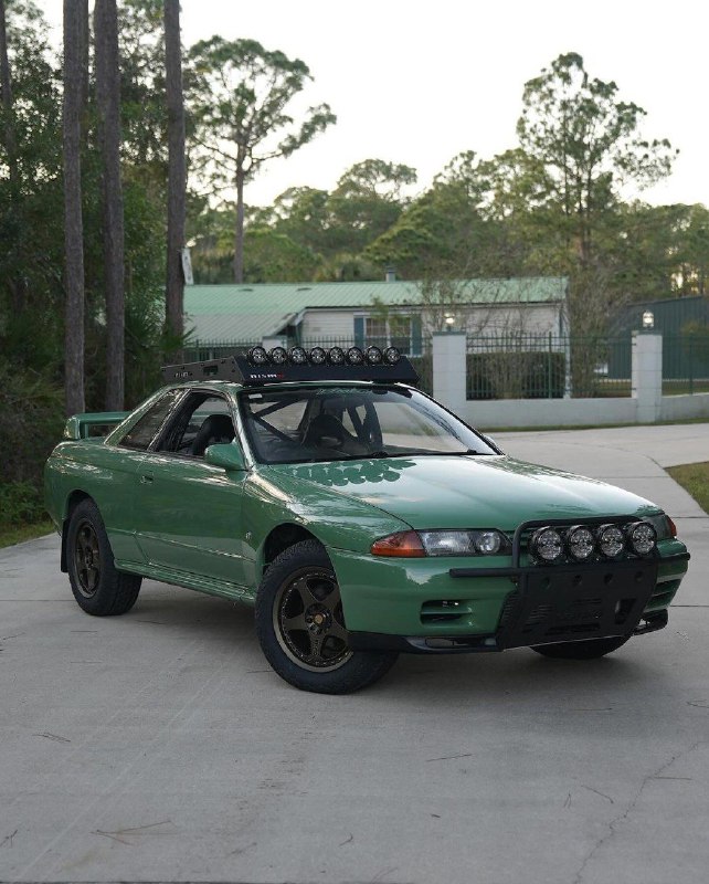 R32 Safari