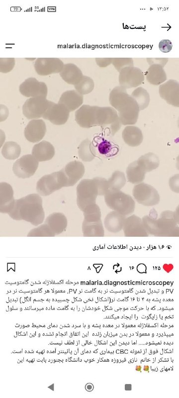 Hemato of ARTA-Lab: اکس فلاژلیشن
