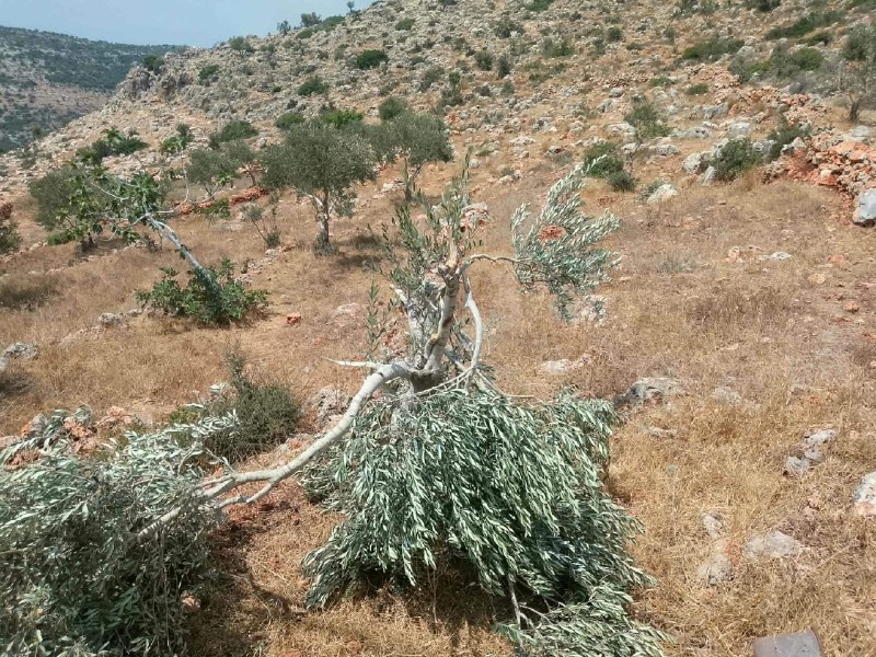 רשת חדשות ירושלים