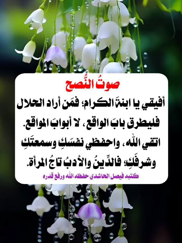 ✍🏻 The Voice of Counsel