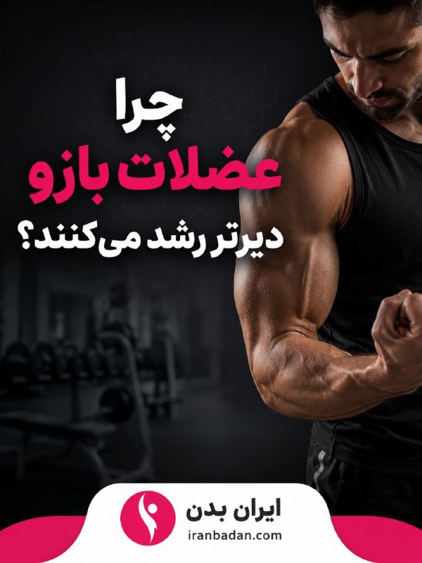 بدنسازی و تناسب اندام | ایران بدن: چرا عضلات بازو دیرتر رشد می‌کنند؟رشد جلو #بازو و پشت بازو به عوامل مختلفی بستگی دارد. اگر نتیجه نمی‌گیرید، احتمالاً یکی 