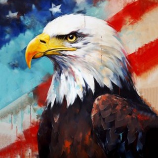 American logo