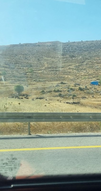 רשת חדשות ירושלים