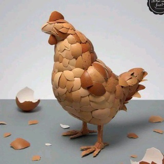 ኤስ ዋይ እርባታና እንቁላል ማከፋፋያ 🐔🪿