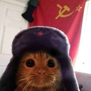 Communist Cat - $CCAT CTO