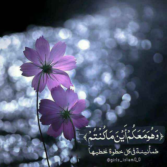 ❤️قُنِأَةَ َآلْﯙلْأَيُهُ فيُ حَبَ أَلْأَمَأَمَ عُلْيُ ❤️: 🍃✨ ربي إني طرقت بابك فافتح لي ولأحبتي ابواب سمائك .. واغمرنا برحمتك .. واجرنا من عظيم بلائك .. وسخر لنا الطيبين من عبادك
