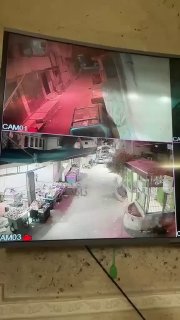 צפו ברגע שהכוחות המיוחדים חדרו למחנה בלאטה, מזרחית לשכם, ועצרו צעיר שזהותו טרם ידועה.