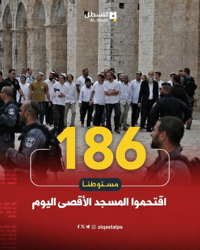 مستوطنون يهاجمون قرية فلسطينية برعاية الاحتلال