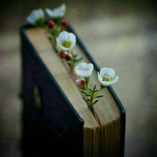 Telegram profile photo for ْمختاراتٌ شعريّة وأَدَبيّة