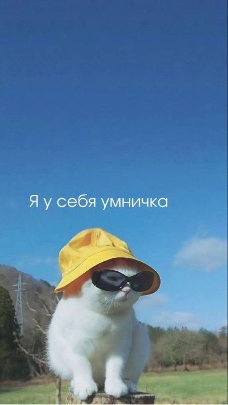 Забирайте послание на день если отправишь своей любимке Я В ДОМИКЕ Please open Telegram to view this post VIEW IN TELEGRAM - изображение 6 - telegram, view, забирайте