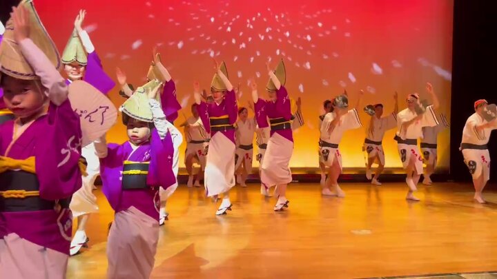 一個人一個月漫遊日本四國(四)德島縣篇