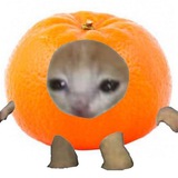 🍻мандариновий сидр🍊