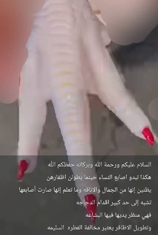 أين ذهب الـ🧠؟