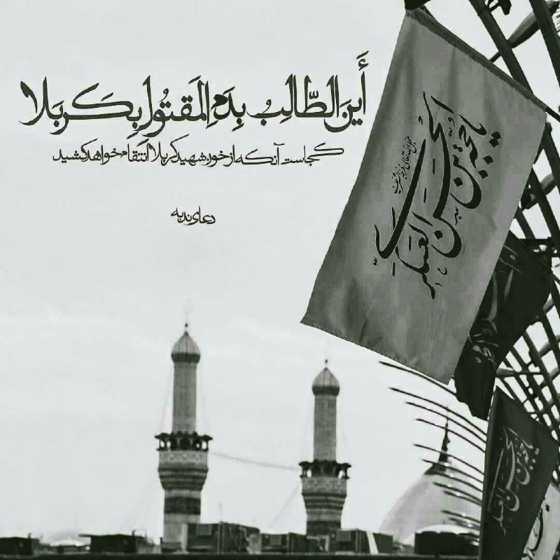 دلتنگ کربلا🕊: ❏السلامعلیڪیابقیةالله❏✦•توزائرهرروزوشبڪرببلایۍ○عمريستعزاداريلِعهدووفايۍ✦•مشڪازغمدستوعلَمچشمببارد○برگردڪهت