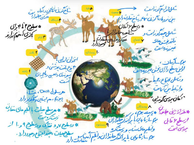 👨⚕️زیست شناسی سقز👩⚕️: فقط شکلا رو ۲ دقیقه نگاه کنهر شکل ۲ دقیقهفصل ۱ دهمتورق سریع کل شکل های زیست ۴۰۵👌😍😎موافقی بقیشم بزارم ؟#کنکور۴۰۵╭─► ⌲ Tel