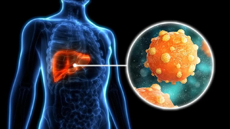 ساعت 24: تأیید داروی جدید هپاتیت B در ژاپنساعت ۲۴- شرکت داروسازی بریتانیایی GSK روز دوشنبه اعلام کرد داروی آزمایشی این شرکت برای