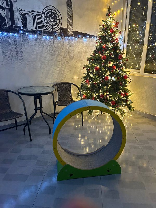 Продам беговое колесо для кошек — фото 1