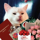Каморка, что за актовым залом
