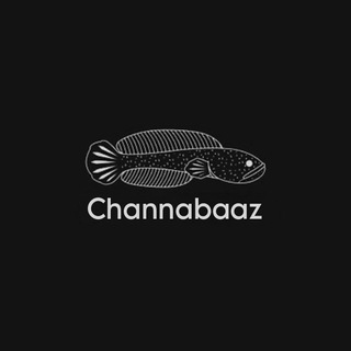 ChannaBaaz