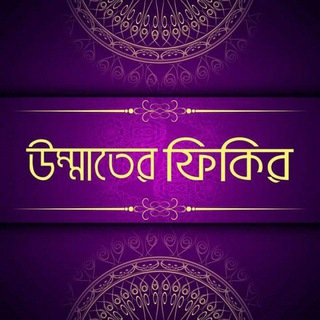 উম্মাতের ফিকির