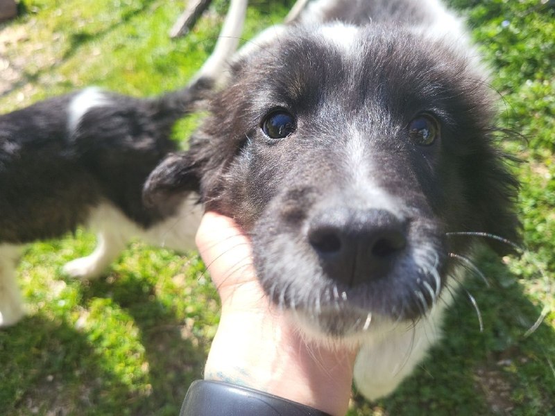 ТРИ МАЛЕНЬКИХ ОБЛАЧКА ДРОЖАЛИ НА ТРАССЕ — фото 1