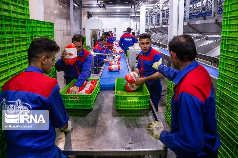 Support for the purchase of 2,000 tons of chicken from producers