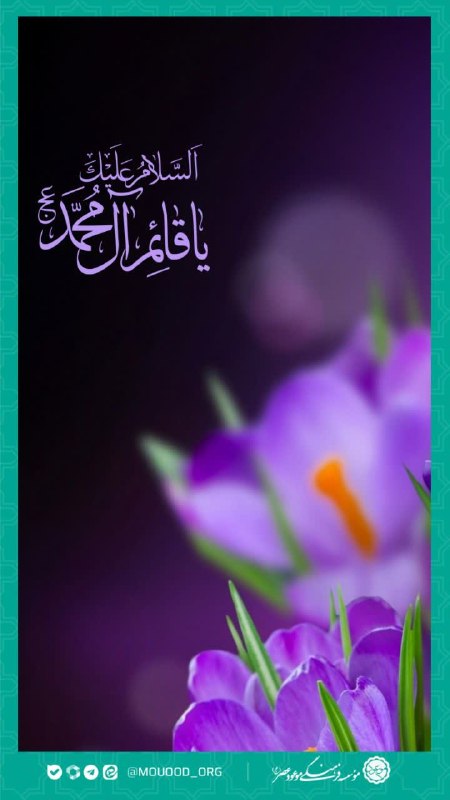 موعود mouood.org: آغاز امامت حضرت ولیالله الاعظم، امام زمان (عج) مبارک باد.────────────موسسه فرهنگی موعود عصر(عج)@Mouood_org