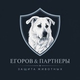 "Егоров и партнеры защита животных "