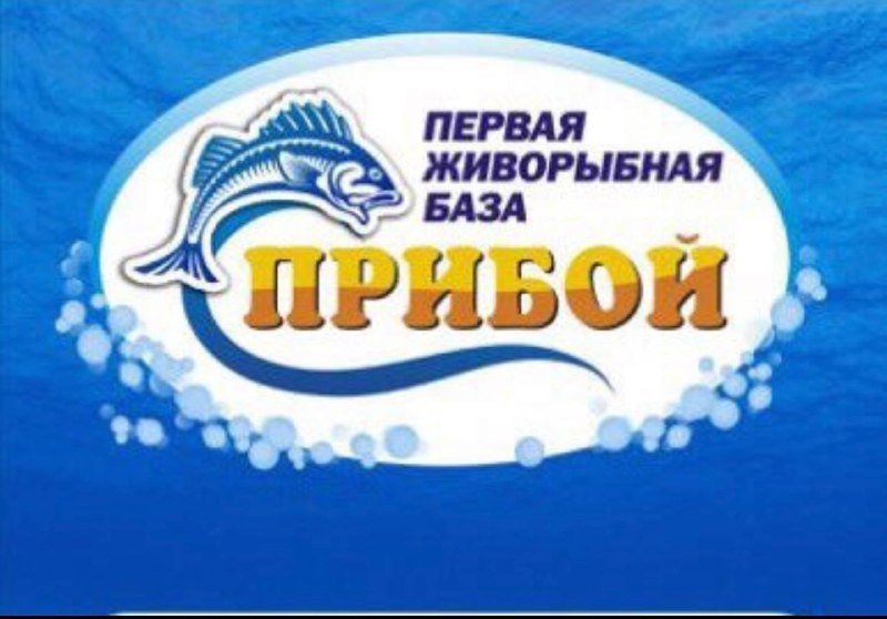 ‼️на рыбную базу требуется: ‼️ - водитель- экспедитор обязанности : - погрузка товара на автомобильн... - фотография - 1