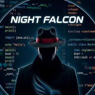 Telegram profile photo for Night Falcon