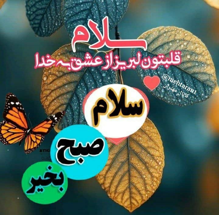 مهتران: ┄┄┄┅┅❅✾❅┅┅┄┄┄🇮🇷 @mehtaran1 👈