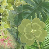 [АРХИВ]🌱листочки кф/дейли!!