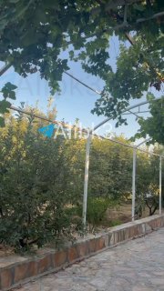 מטוסי התאבדות איראניים טסים לעבר מטרותיהם כעת.