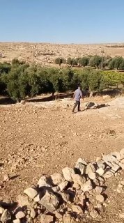 רשת חדשות ירושלים