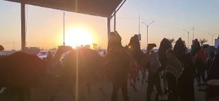 🎦 המעבר הסמלי של שיירת השבויים, הדרך מנג'ף לכרבלא, המסלול המכונה משאיה, אמוד 285