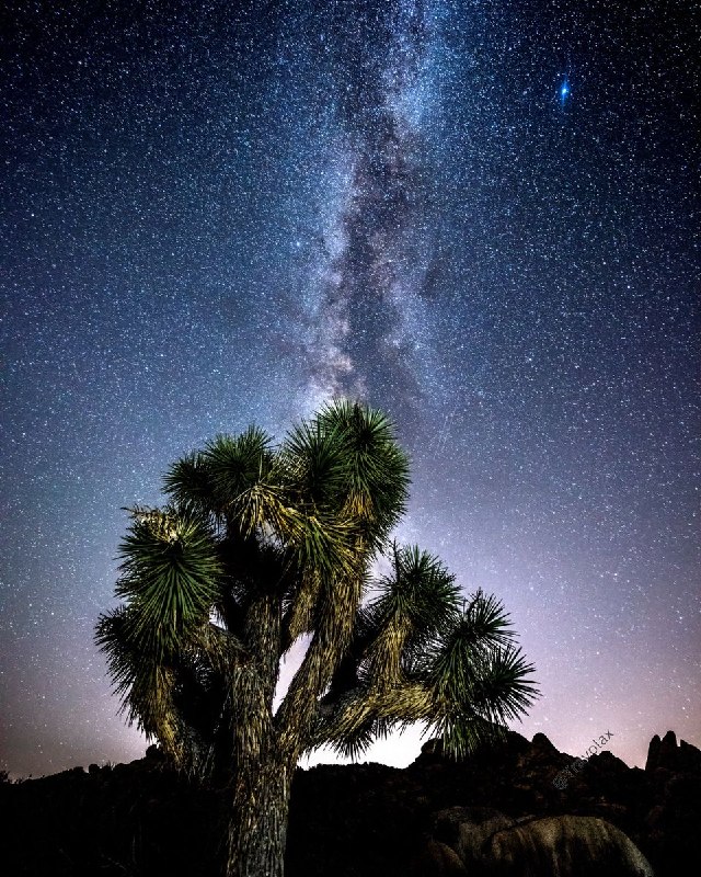 Image from a post by @tourism