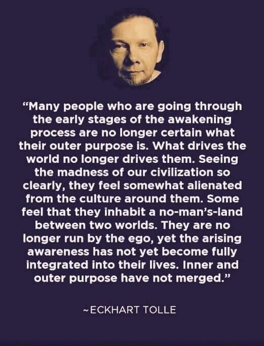 Many people going through the early stages of the awakening process are no longer sure what their outer purpose is. What moves the world no longer moves them. Seeing clearly the madness of our civilization, they feel somewhat alienated from the culture around them. Some people feel that they are in the "no man's land" between two worlds. They are no longer driven by the ego, but the awakening awareness has not yet fully integrated into their lives. Internal and external goals have not yet merged.
