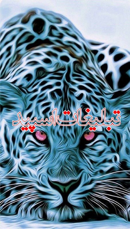 لینکدونی گروه چت بوشهر: ❶﹚ نام : ⎯꯭᪵̽𝆺꯭𝅥𝐖𝐈𝐋𝐃𓆩᪵🜲꯭𓆪̥𝐖𝐎𝐋𝐅⎯꯭꥓᪵ͯ⟶❷﹚ نو؏ تبلیغات : #telegram❸﹚ توضیحات :𝑊𝐸𝐿𝐶𝑂𝑀𝐸 𝑇𝑂┈┈∘┈˃༒˂┈∘┈┈#𝑨𝑩𝑹𝑮𝑷 𝐖𝐈𝐋𝐄𝐃𝐖𝐎𝐋𝐅 sɨռᴄɛ"