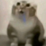 all shi veuukji skins