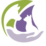 НОВАЯ НАДЕЖДА 🐾