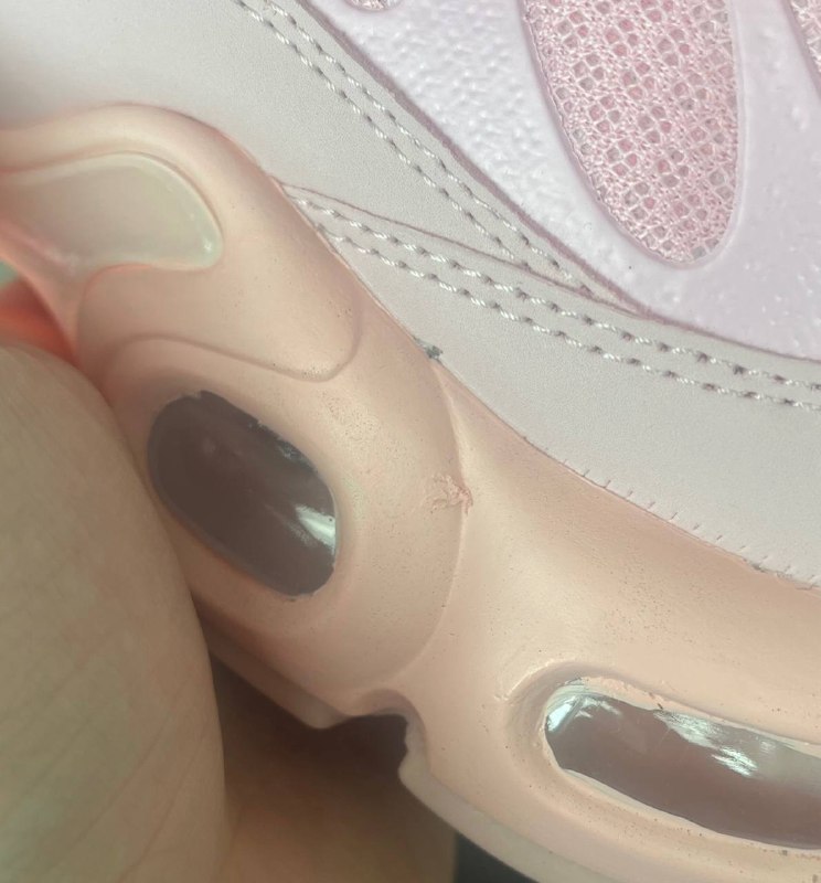 Nike Nike Air Max TN Pink Fade