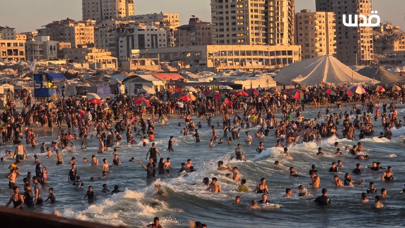 רשת חדשות ירושלים