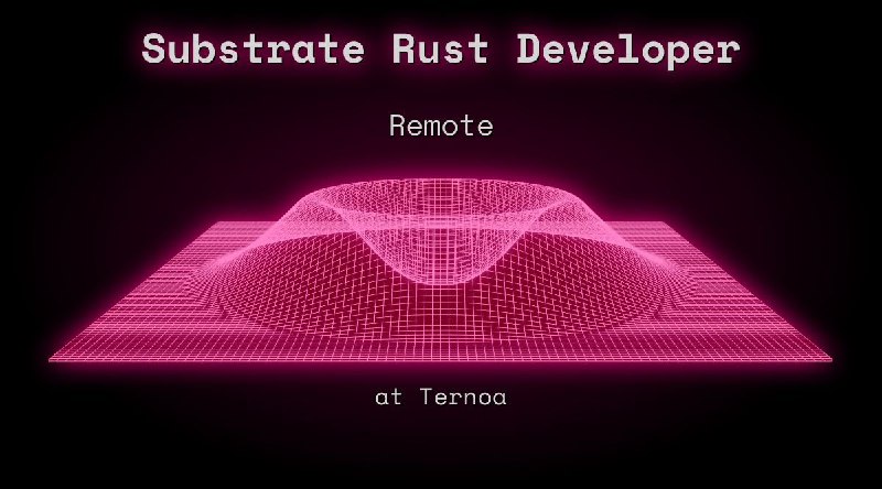 Web3 Substrate Rust Developer  Remote at Ternoa