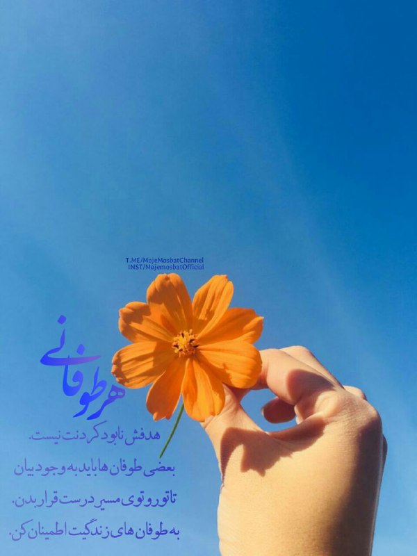 ذهنِ مثبت: هر طوفـانی، هدفش نابود کردنت نیست.بـعضی طوفان ها باید به وجود بیان تا تو رو توی مسیر درست قـرار بدن.به طوفان های زندگیت 