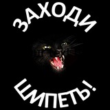 Шипящий Физтех