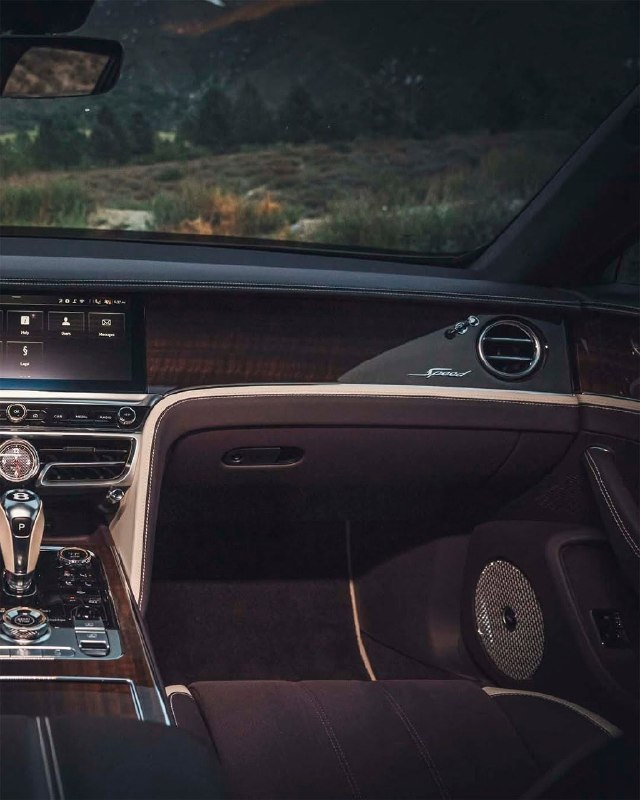 Bentley Flying Spur 10