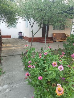 2/3 xonali uy. Срочно sotiladi. Chilonzor, Dombirobod. Tinch mahalla.