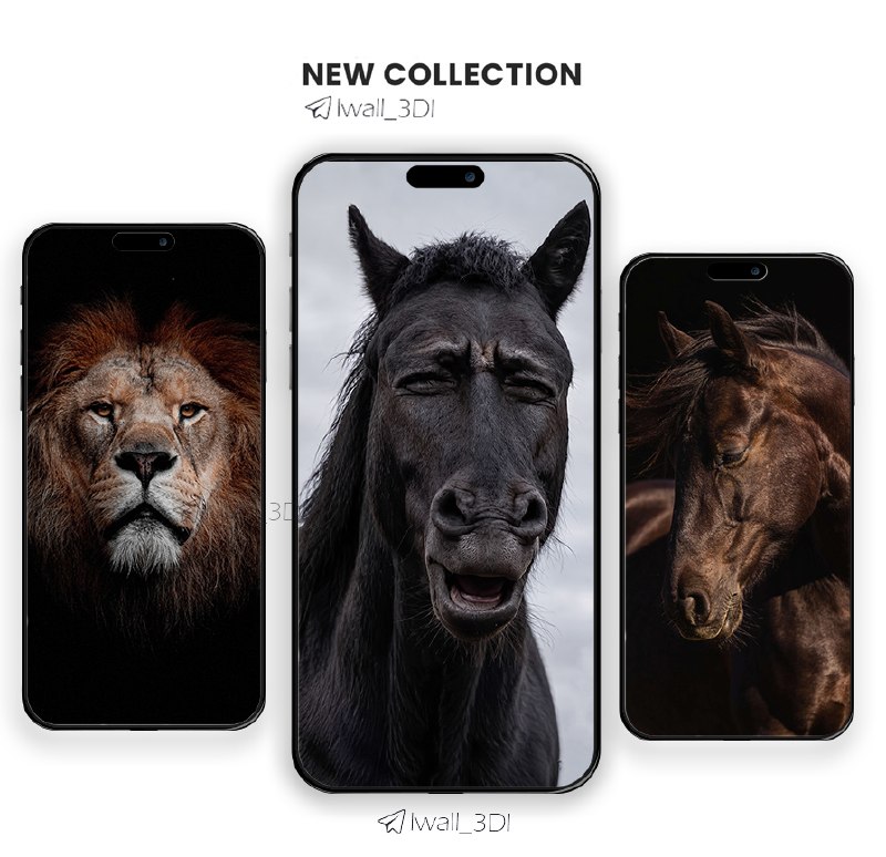 تم | والپیپر | Обои |Wallpaper: #animal #collection #fun #horse #lion👈Download 4K files🖼 @lwall_3Dl