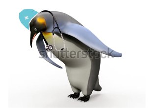 Выпускникам медвузов, которые согласятся поехать в «новые регионы», вдвое сократят срок обязательной отработки.В марте 2026 года начнёт действовать закон, согласно которому все бюджетные места для ординаторов станут целевыми — обязательная отработка по ним