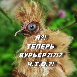 Чат Курьеров РФ (всех агрегатов, доя общения)